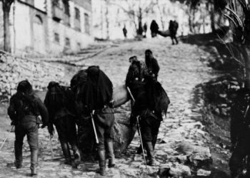 Kurdistan: Society, and Politics (1914–1920)