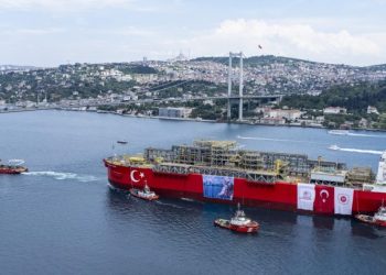 A Reading into the Paradox of Turkish Economic Performance
