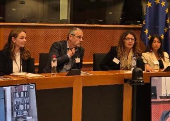Independent Legal Mission on the Peace Process in Turkey presents report at European Parliament